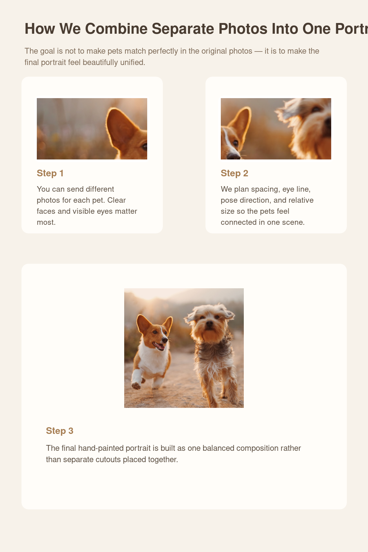 How separate pet photos are combined into one portrait