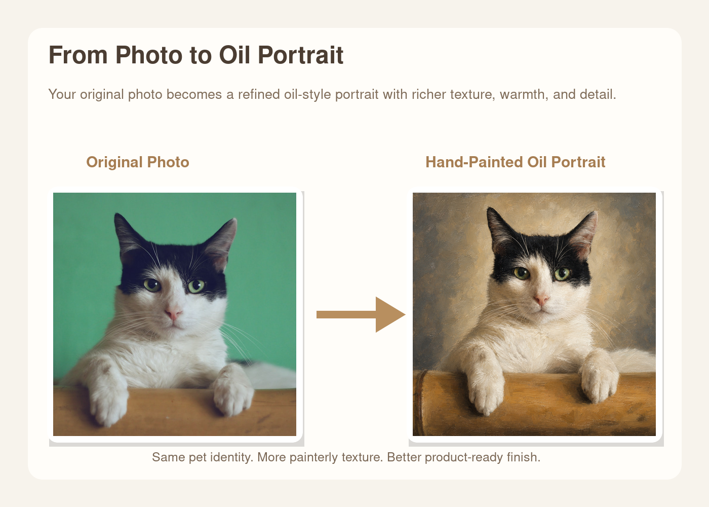 Original pet photo transformed into hand-painted oil portrait