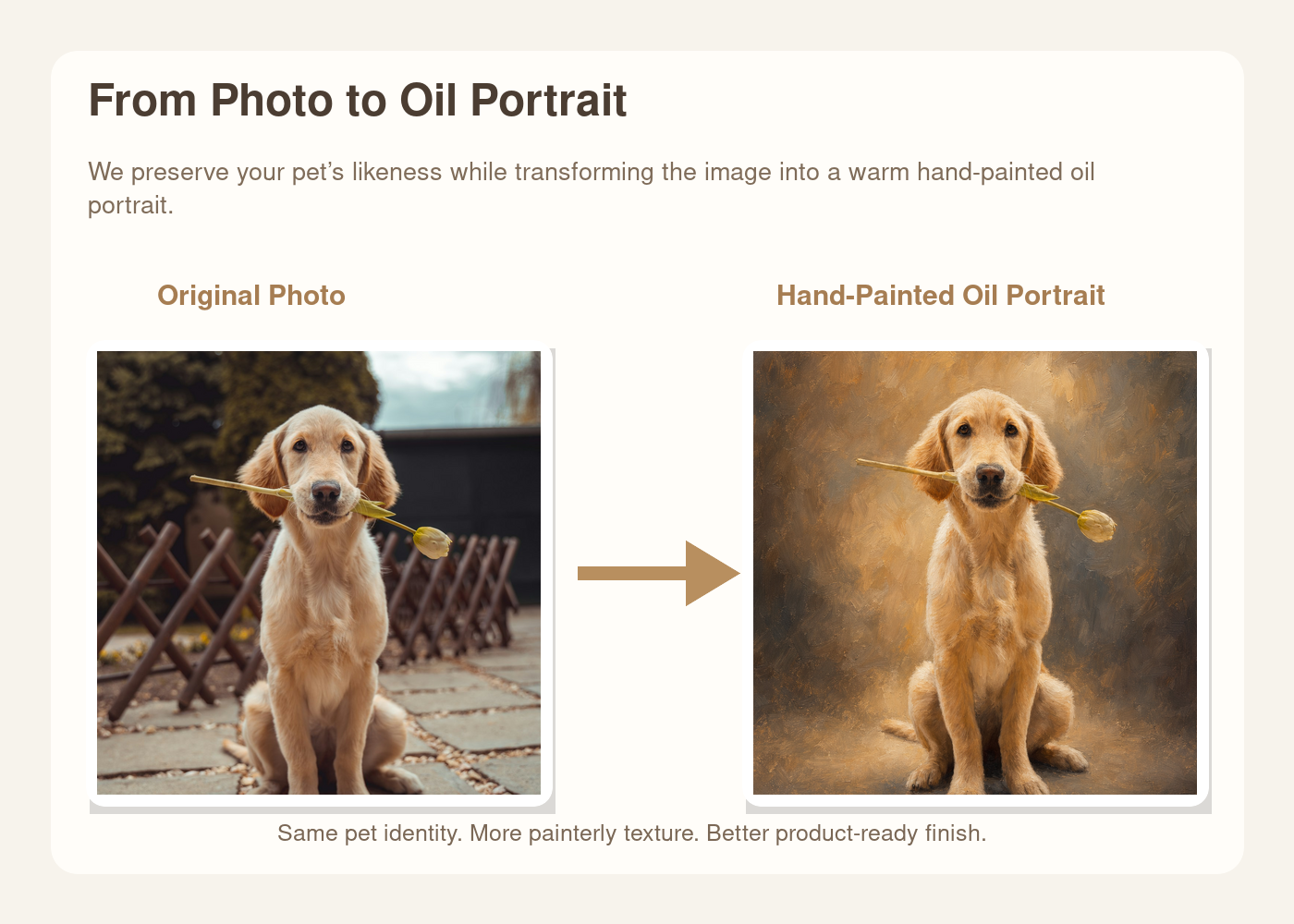 Original pet photo transformed into hand-painted oil portrait